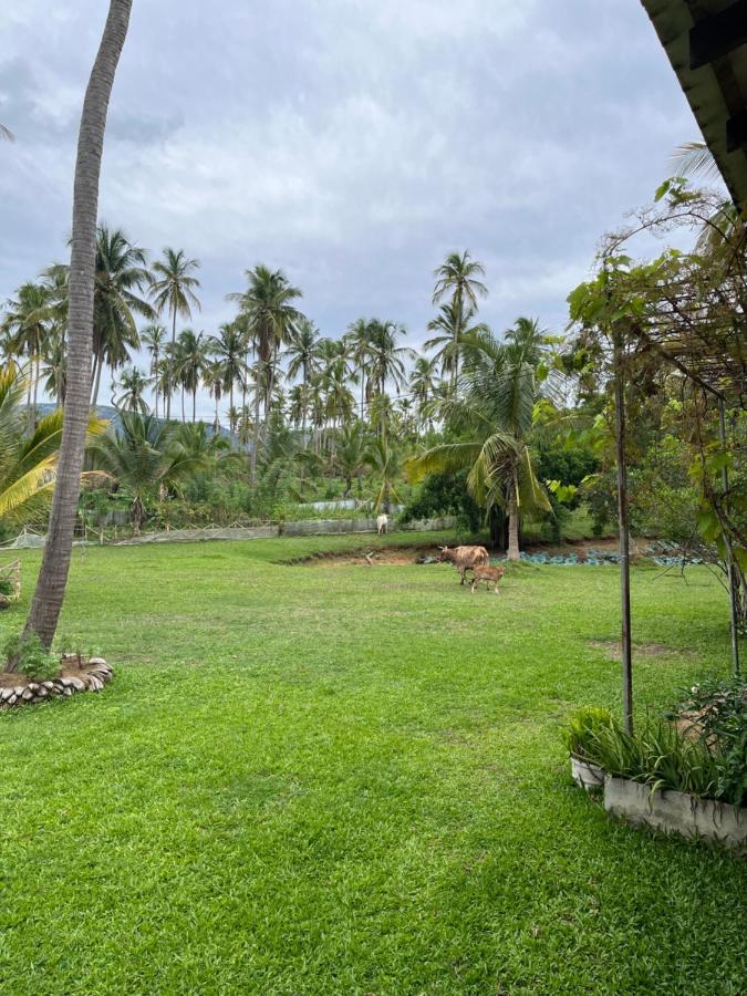 Villa Rivendell Twisted Tree Kurunegala Exterior foto