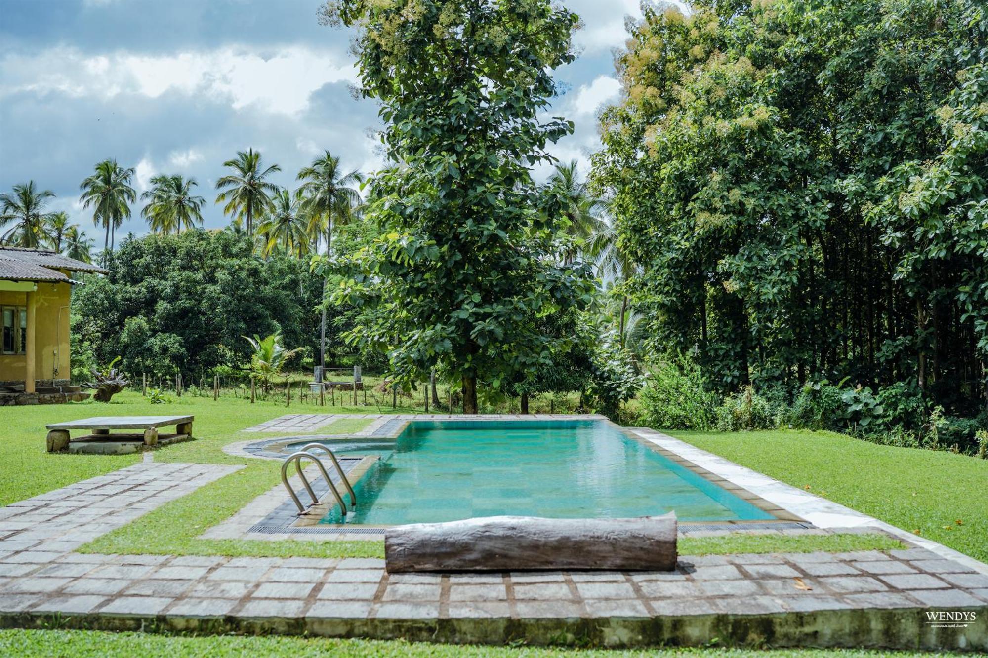 Villa Rivendell Twisted Tree Kurunegala Exterior foto